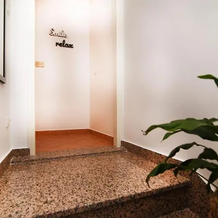 Dalmatian Stone زاتون