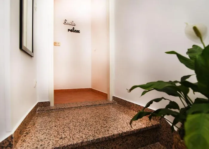 Dalmatian Stone زاتون