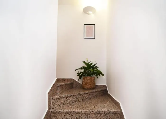 Dalmatian Stone شقة زاتون