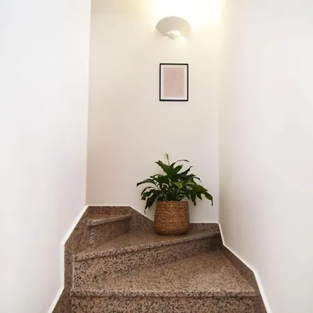 Dalmatian Stone Daire Zaton (Zadar)